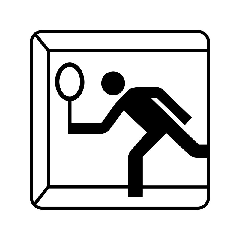 pictogram - squash