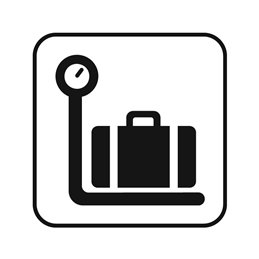 dansk standard - bagage ind og udlevering