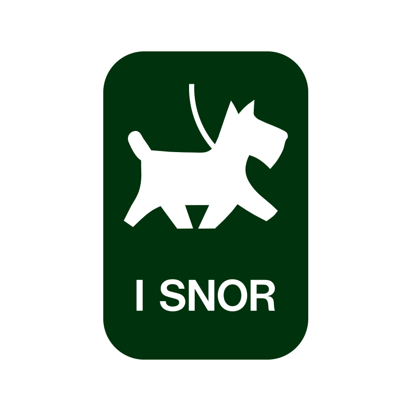 hund i snor