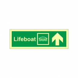 Lifeboat direction